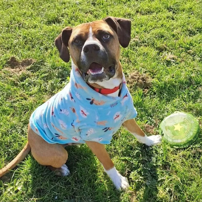 Photo of Arlo