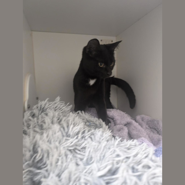 Photo of Lillith