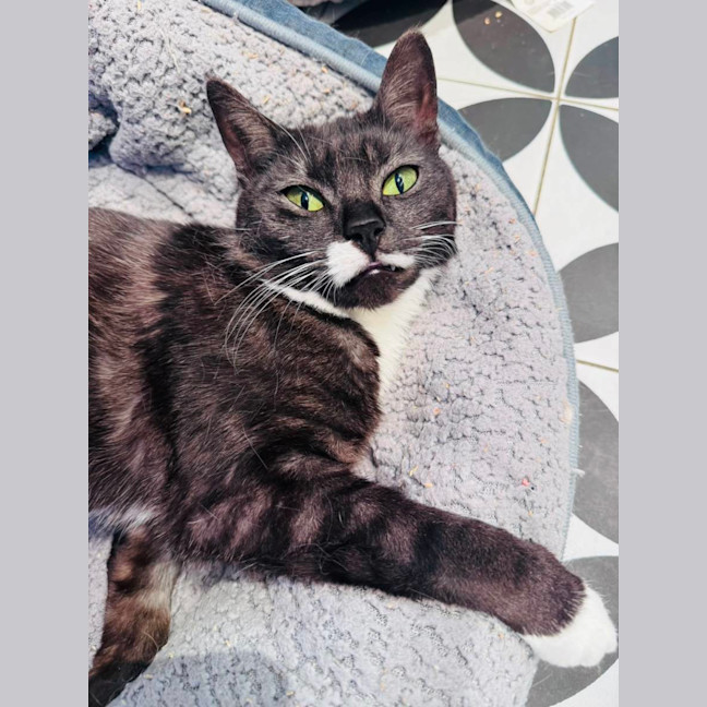 Photo of Minnie 🎀