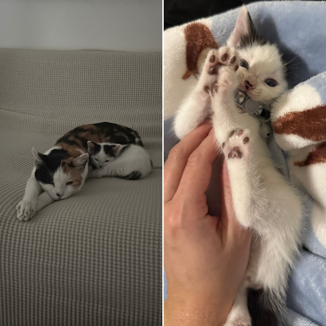 Photo of Josie (With Margo)