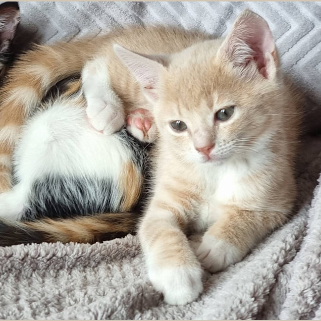 Photo of Lenny Baker