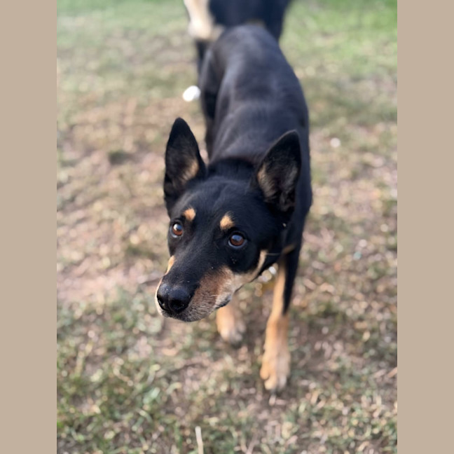 Photo of Finn