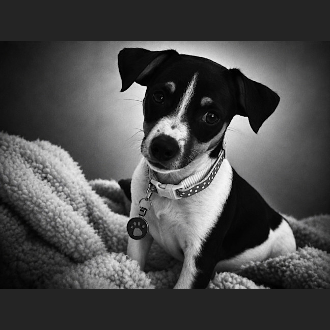 Photo of Skye