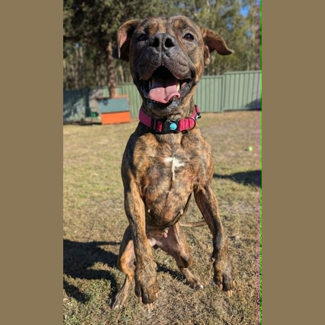 Photo of Winnie