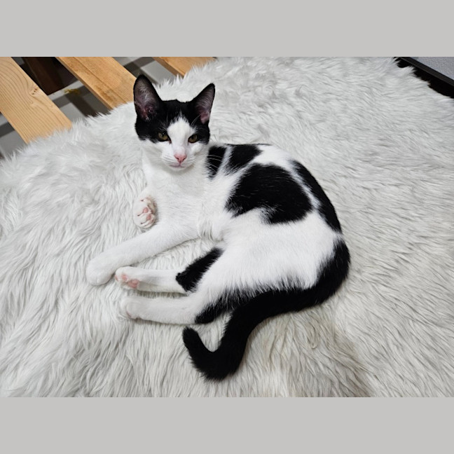 Photo of Mina