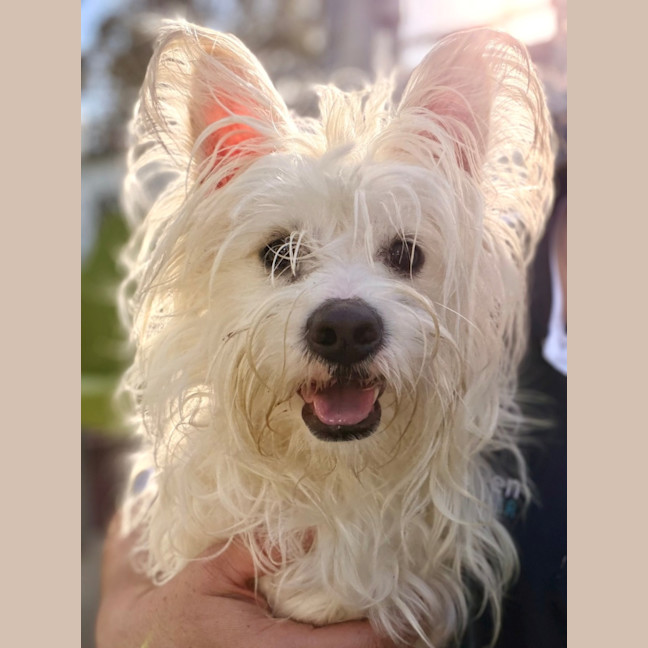 Photo of Reggie