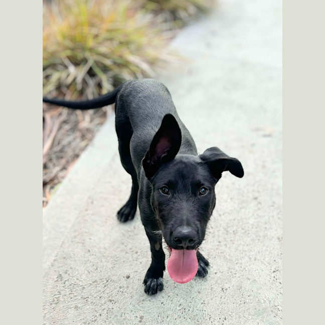 Photo of 🌱 Barnaby 5938 🌱