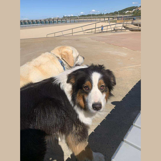 Photo of Remy