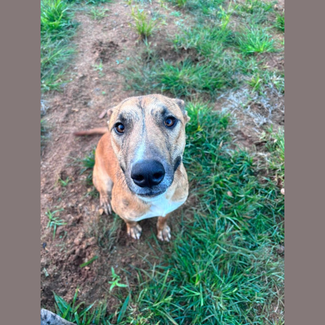 Photo of Jack