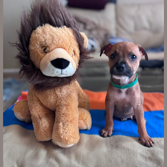 Photo of Charlie
