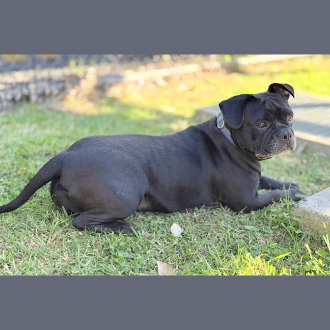 Photo of Lucy 