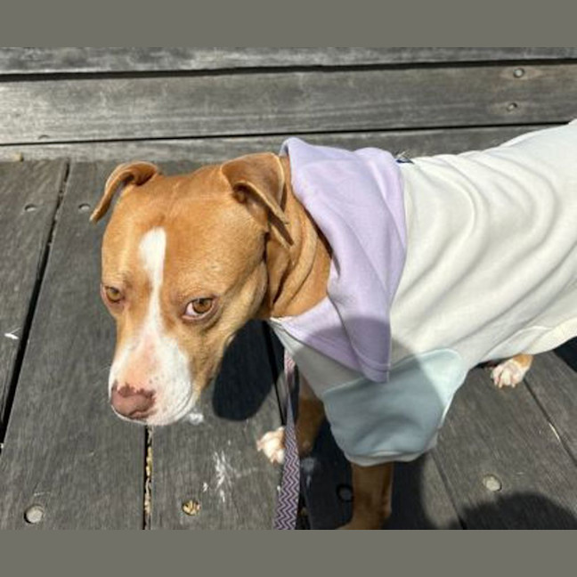 Photo of Zoe