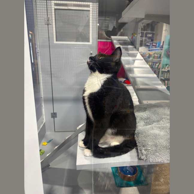 Photo of Alaska Meet Me@Petstock Carrum Downs Store
