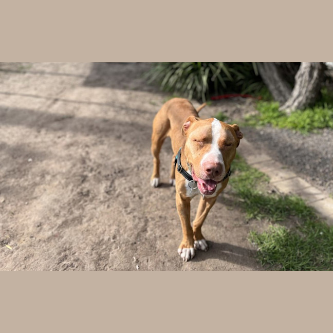 Photo of Wally