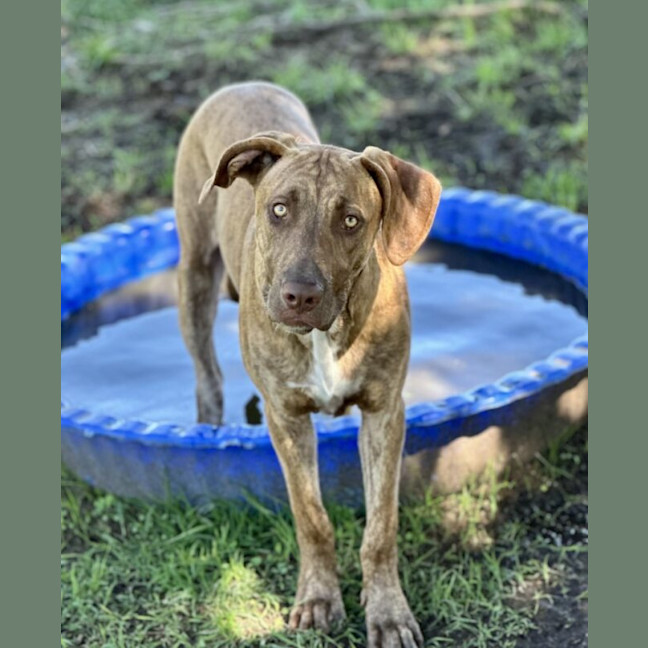 Photo of Jax