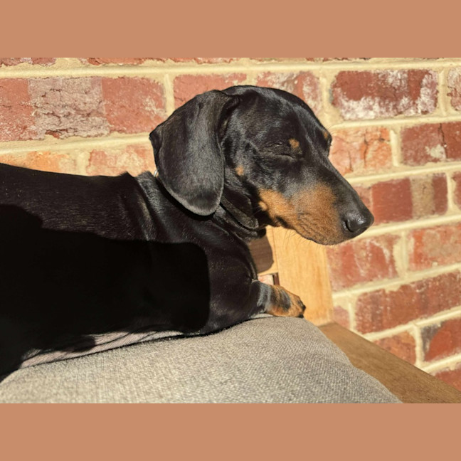 Photo of Mia