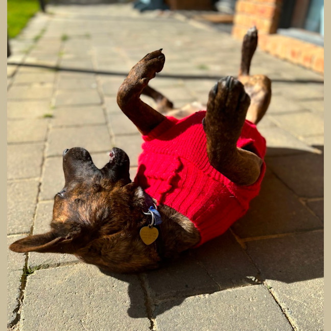Photo of Cocobella