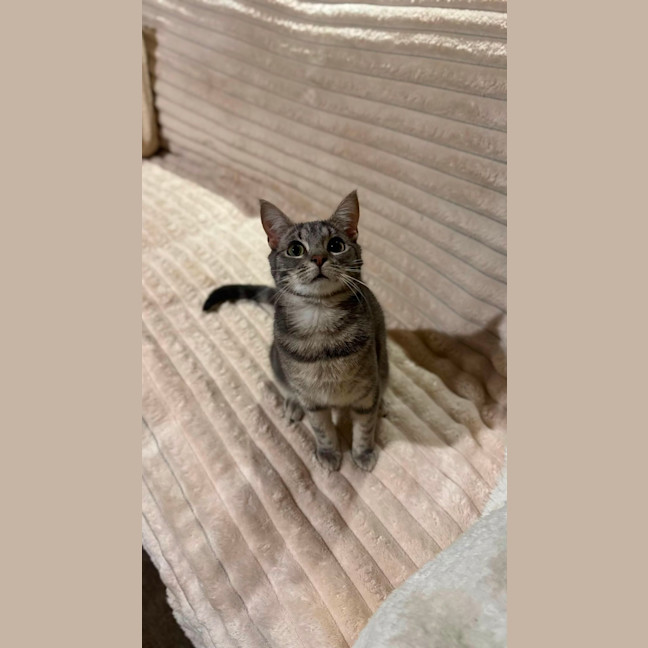 Photo of Mystery
