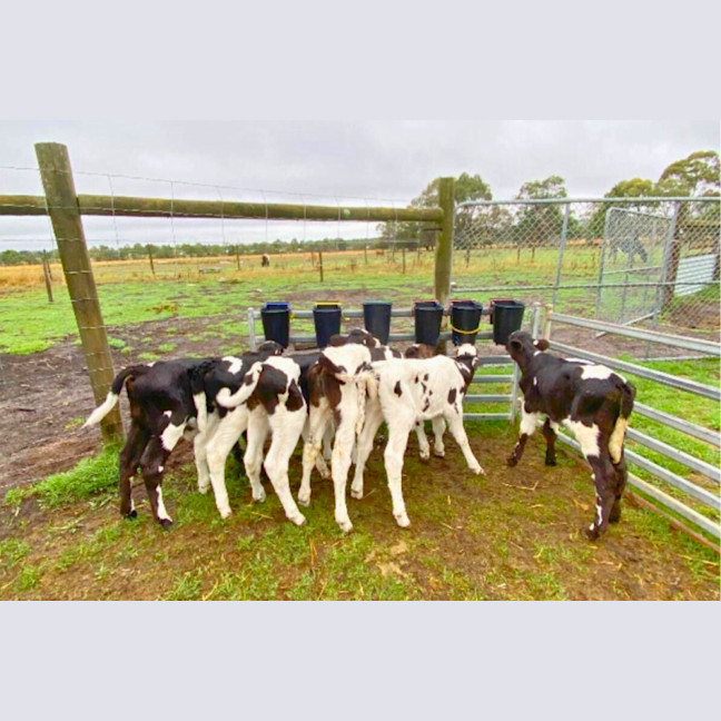 Photo of Ainsley And Ridley