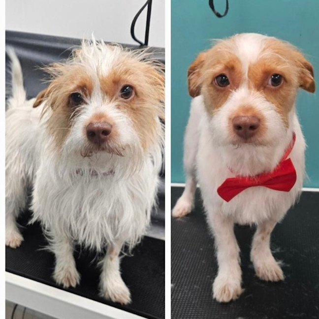 Photo of Beautiful Queenie 