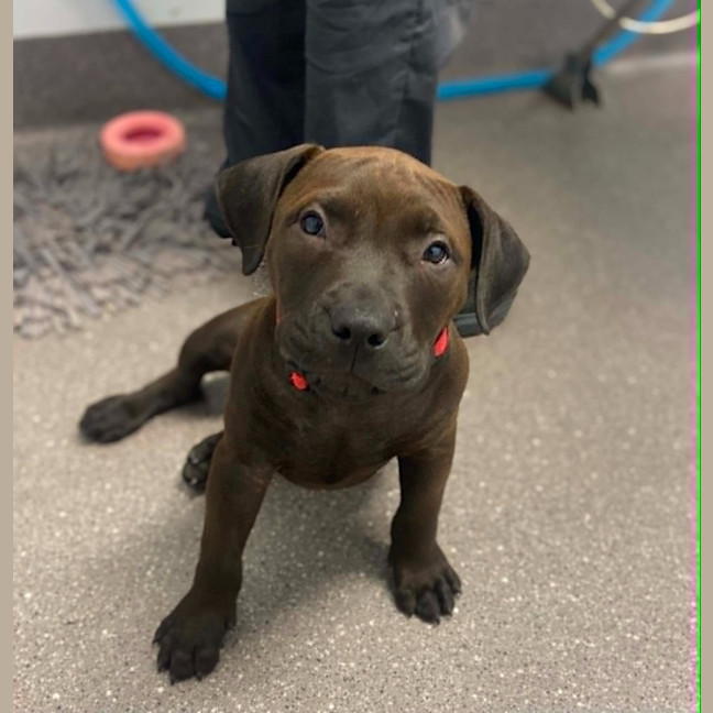 Photo of Hershey
