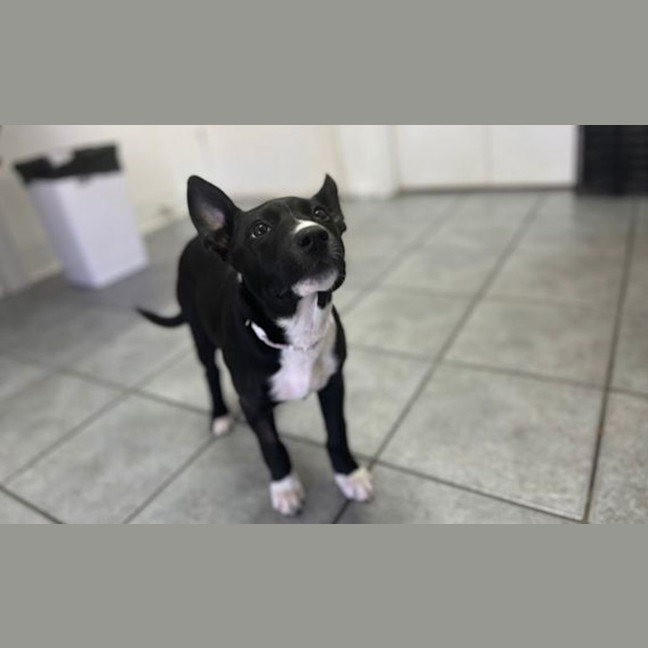 Photo of Maggie