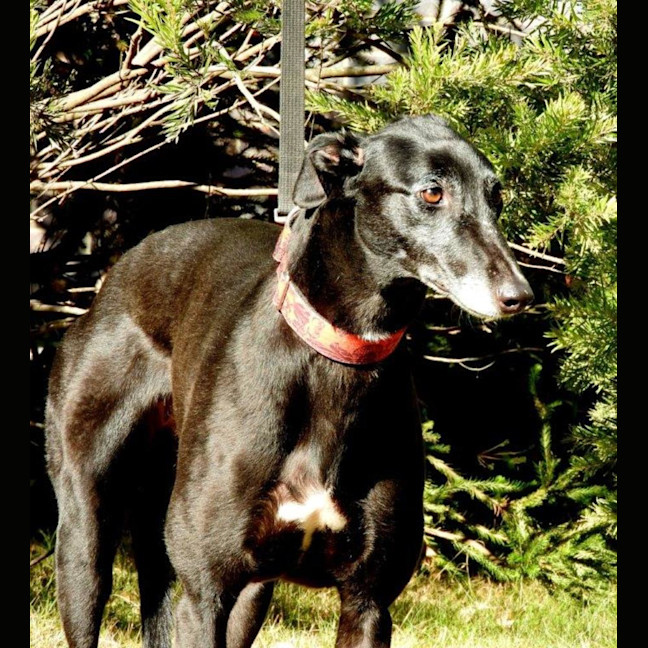 Photo of Heidi