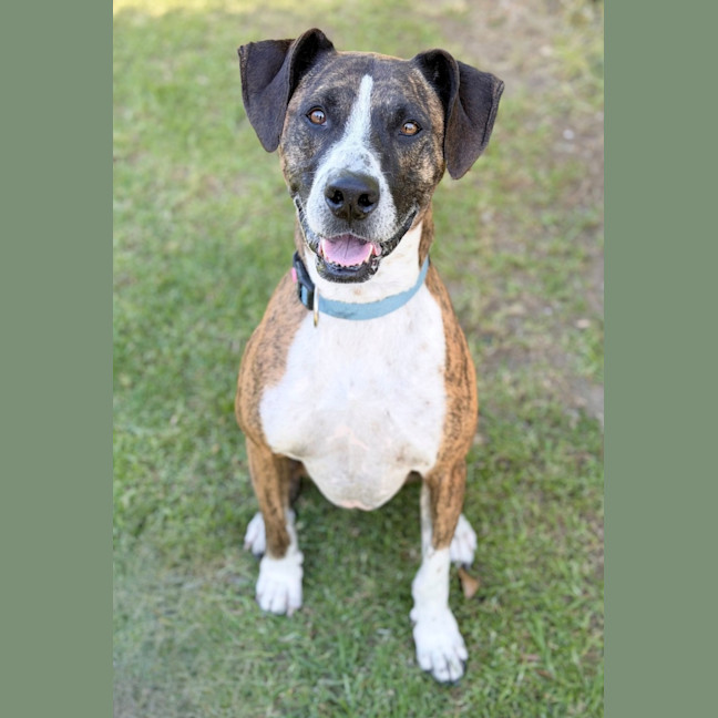 Photo of Xena