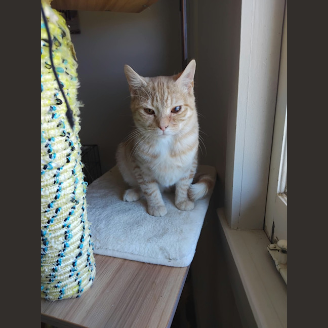 Photo of Kit