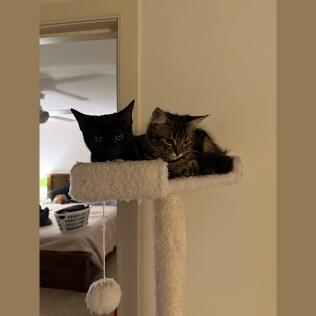 Photo of Eve & Coalette