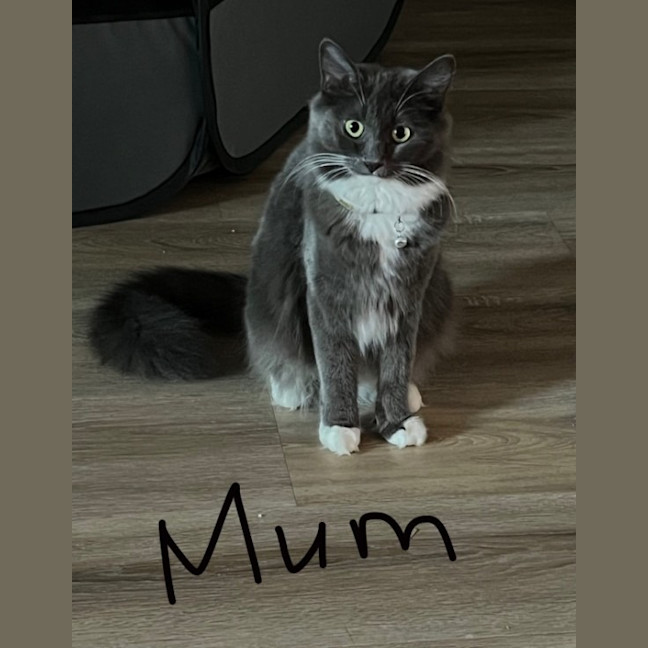 Photo of Obi