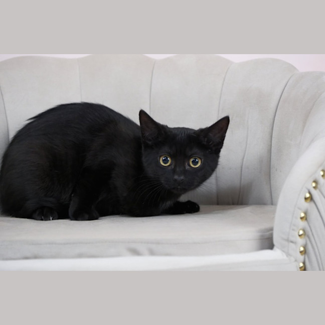 Photo of Wilma