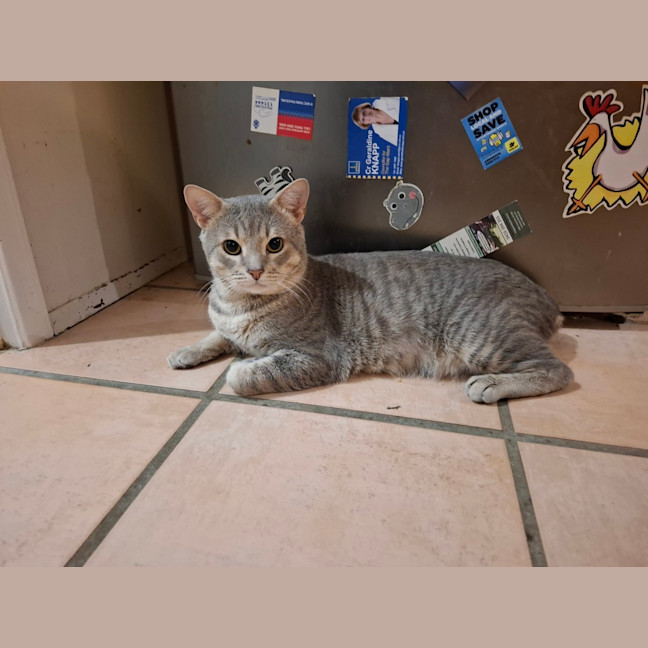 Photo of Grumbles