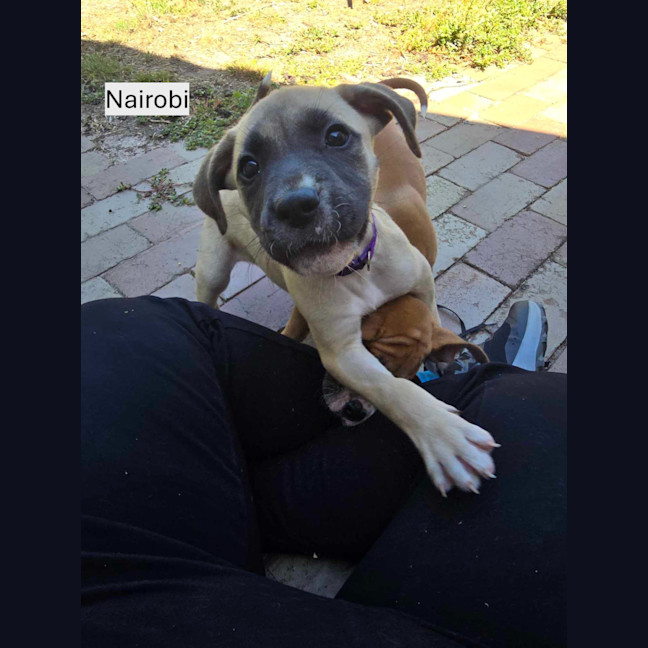 Photo of ⛰️ Coromandel's Litter (Part 2) ⛰️