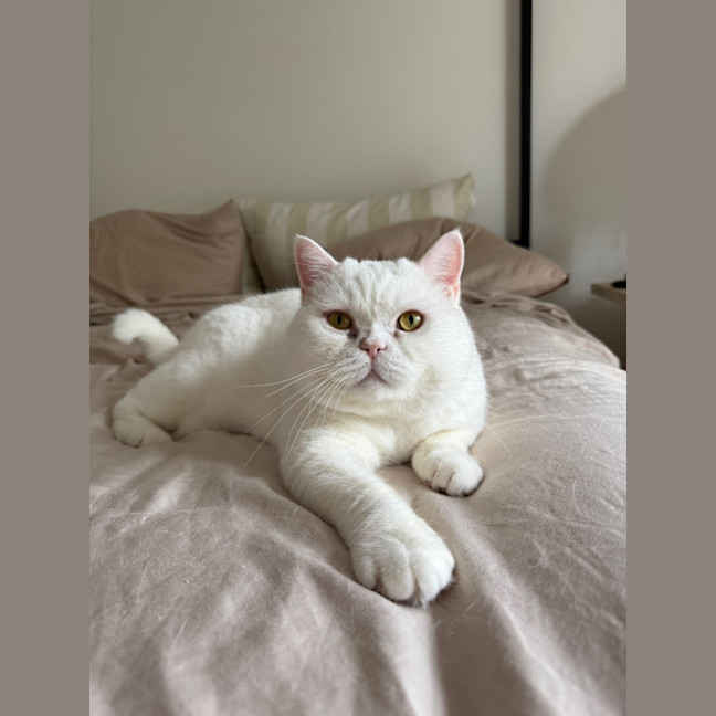Photo of Yuki