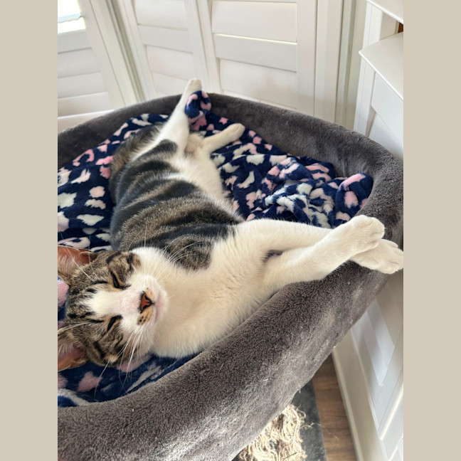 Photo of Jerry Freckle