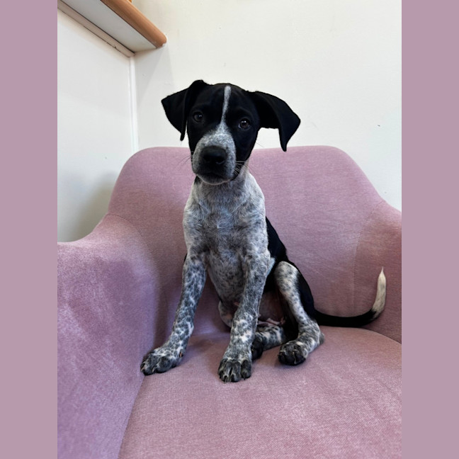 Photo of Jessie
