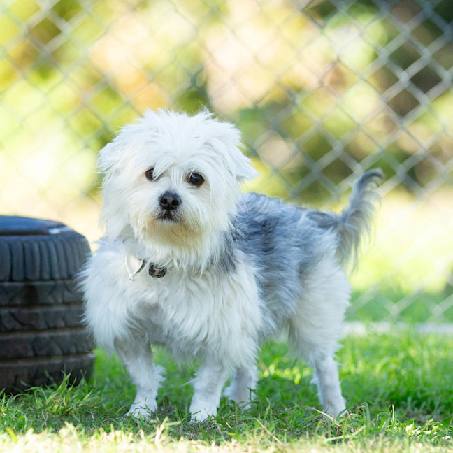 Photo of Rupert