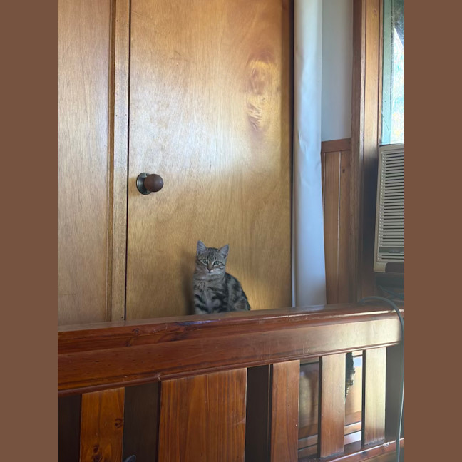 Photo of Ferrero