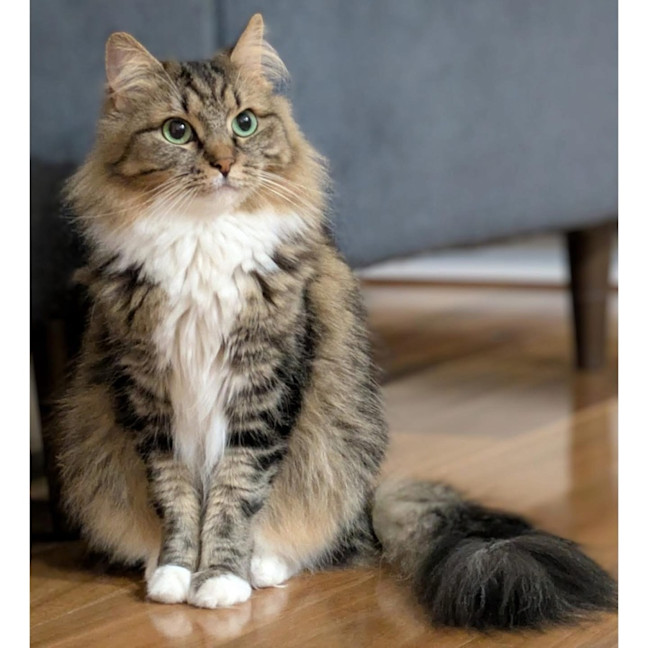 Photo of 5425   Elara