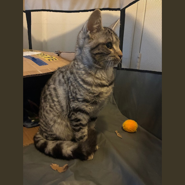 Photo of Enid