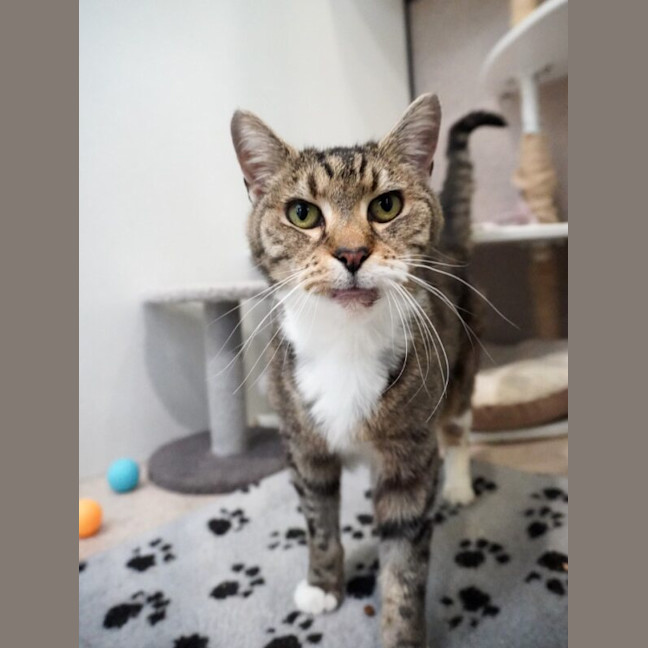 Photo of Emerald