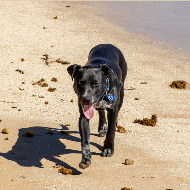 Photo of Jack