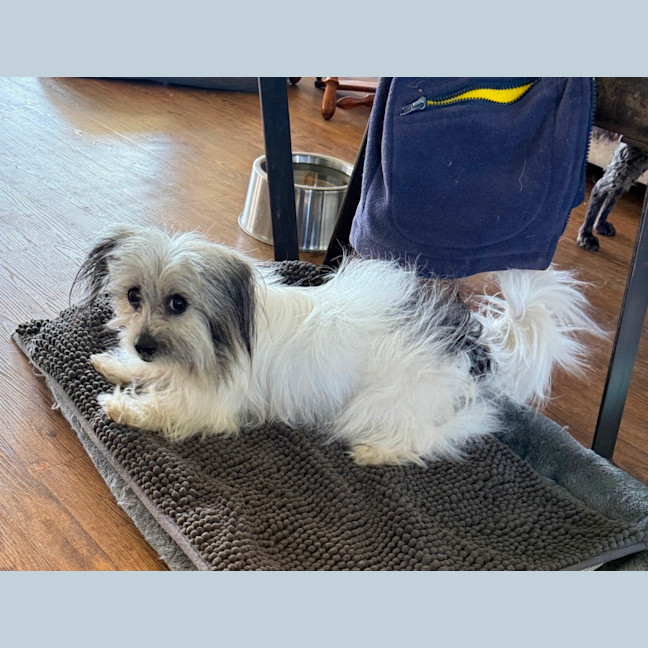 Photo of Hazel