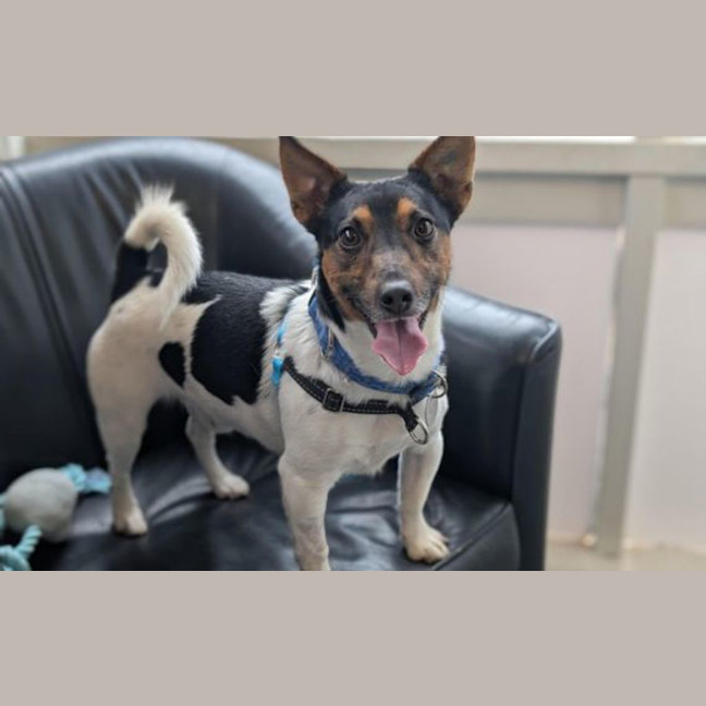 Photo of Reggie
