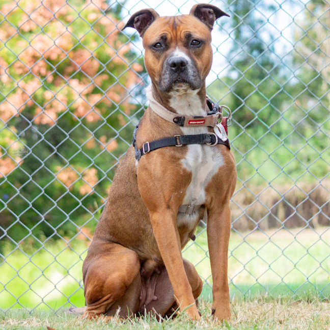 Photo of Leia