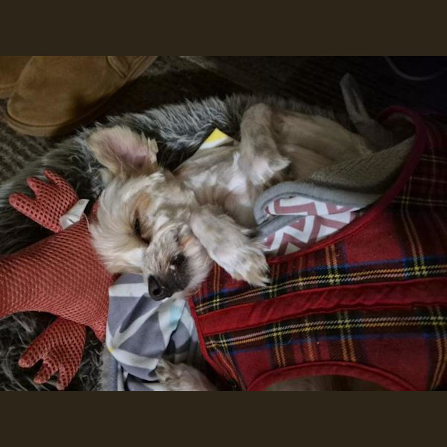 Photo of Penelope