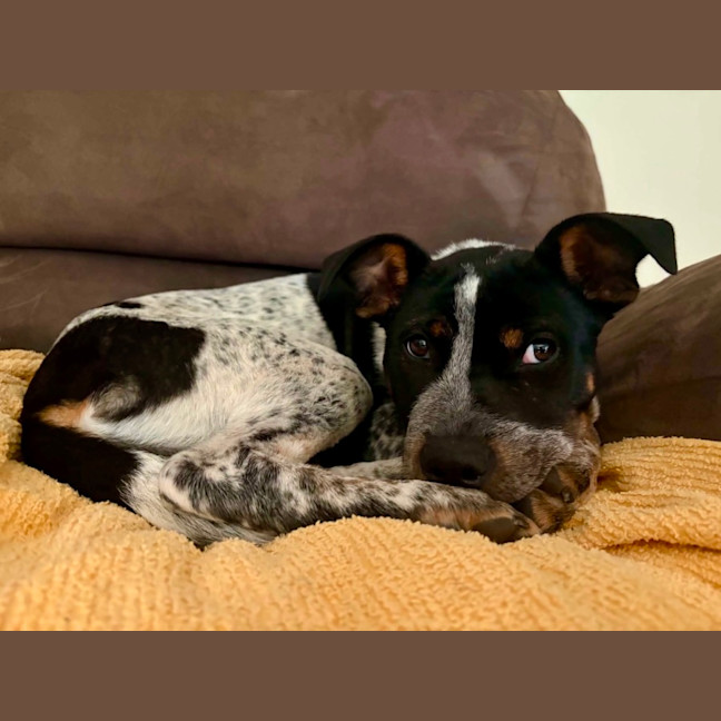 Photo of Peppa