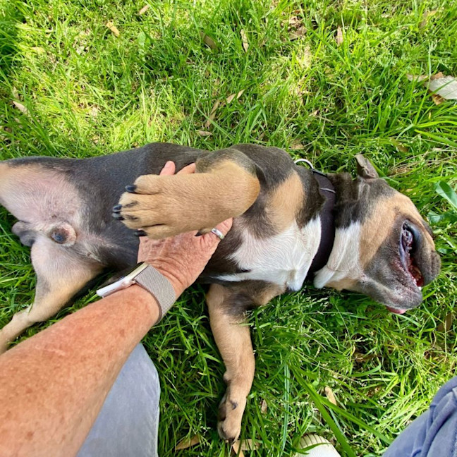 Photo of Milo