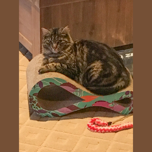 Photo of Hazel